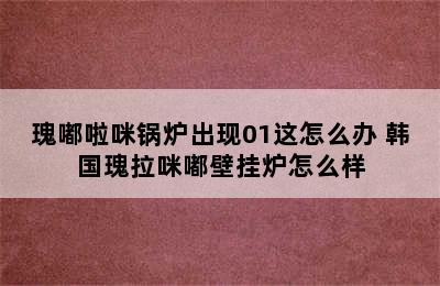 瑰嘟啦咪锅炉出现01这怎么办 韩国瑰拉咪嘟壁挂炉怎么样